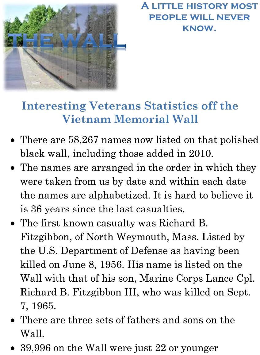 Vietnam wall statistics